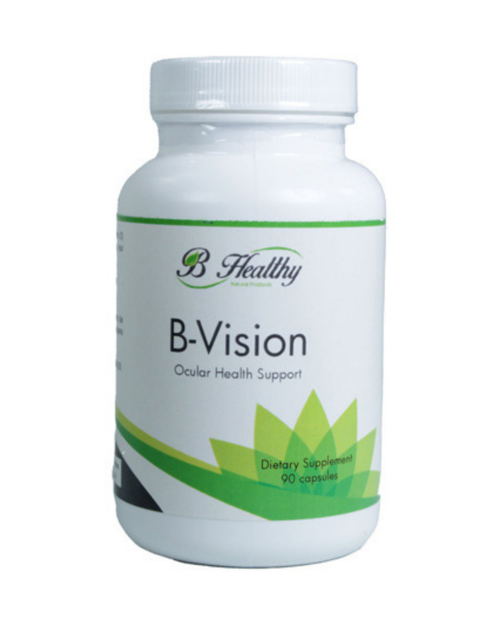 B-VISION