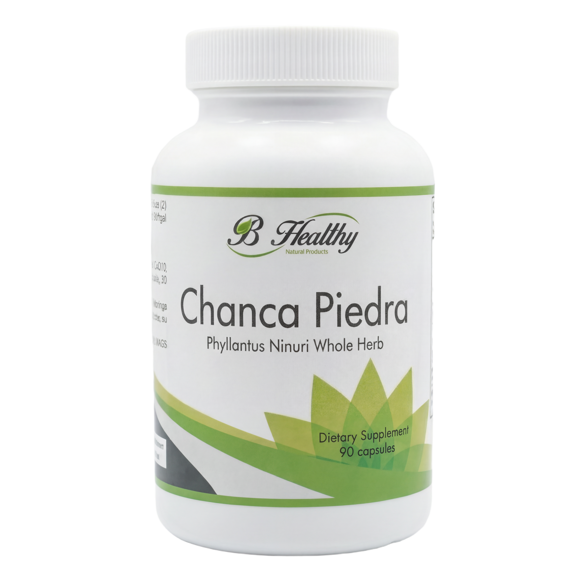 CHANCA PIEDRA