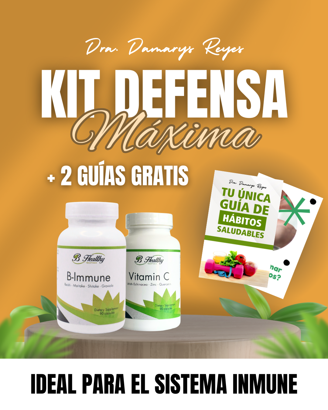 Kit Defensa Máxima